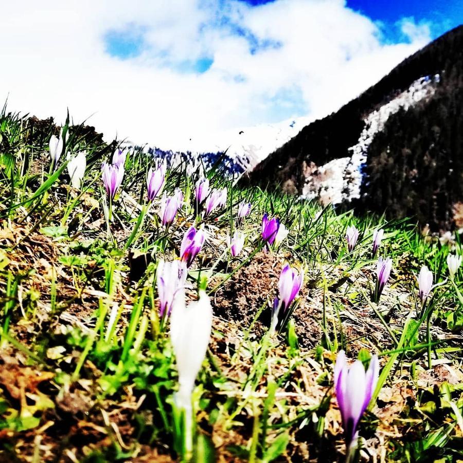 Ferienwohnungen Niederarnigerhof Familie Bauernfeind Kals-am Großglockner 외부 사진