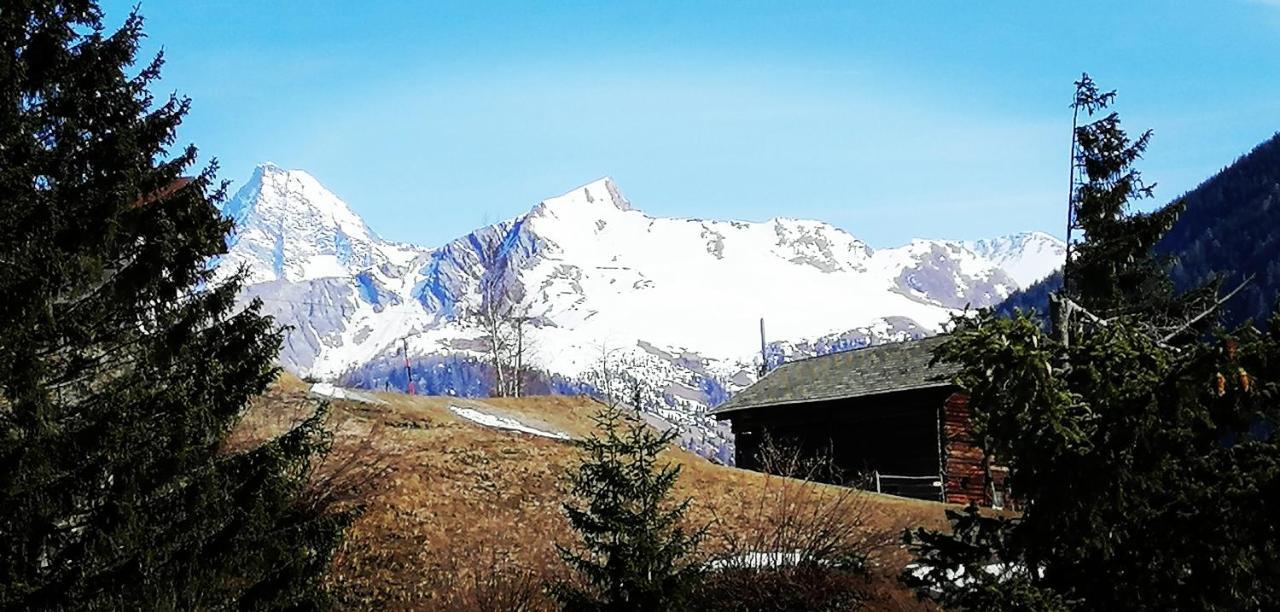 Ferienwohnungen Niederarnigerhof Familie Bauernfeind Kals-am Großglockner 외부 사진